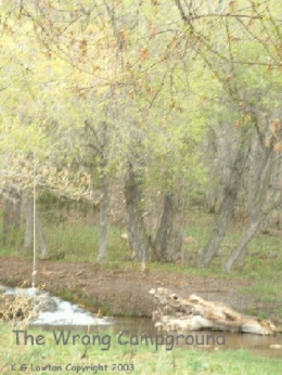 Photo of campgound taken by K.G.Lawton